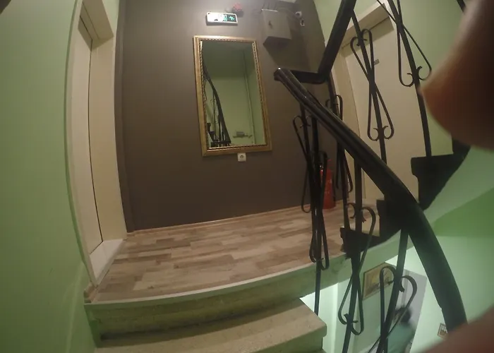 Puffin Provincia di Istanbul