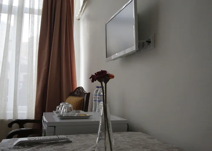 Puffin Provincia di Istanbul