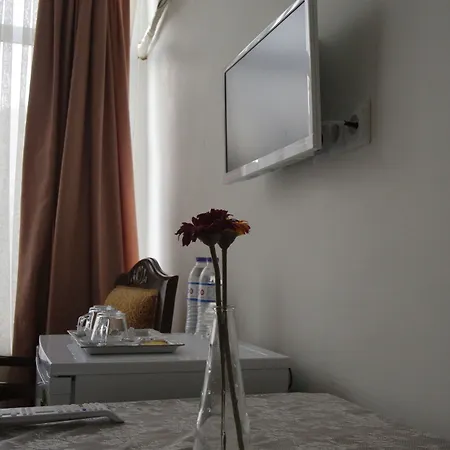 Puffin Istambul